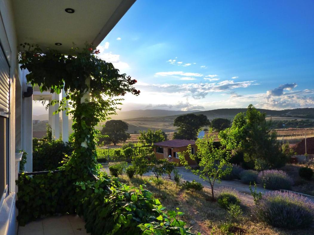 Vineyard Country House With Panoramic Seaview Alexandroúpolis Luaran gambar